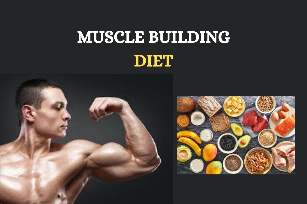 Muscle gain diet plan